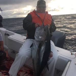 Meet your Posher, Mike